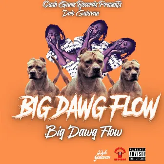 Big Dawg Flow by Dolo Galavan