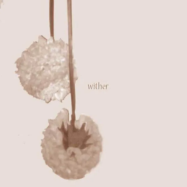 Wither