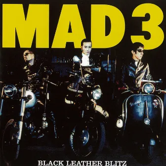 Black Leather Blitz by MAD3