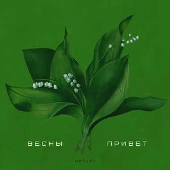 Весны привет by Neteta