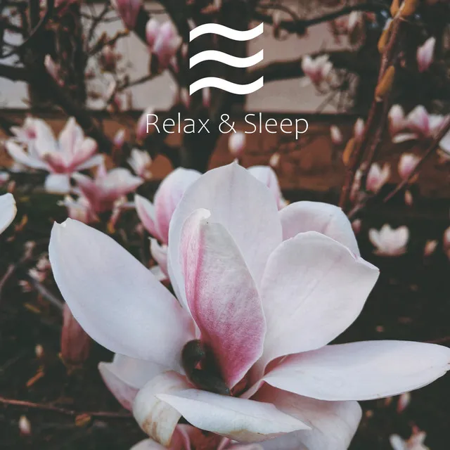 Deep Noise for Deep Sleep