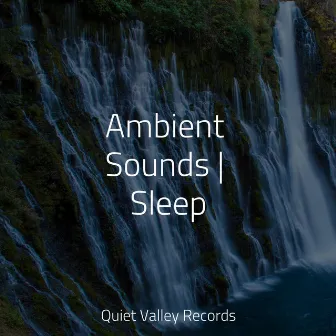 Ambient Sounds | Sleep by Academia de Meditação Buddha