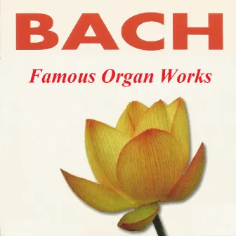 Bach - Famous Organ Works by Otto Winter