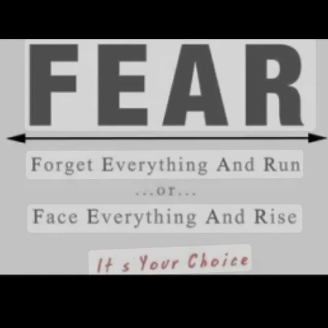 F.E.A.R Face~Everything~And~Rise