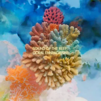 Sound of the Reef: Coral Enneagrams by Mia Pixley