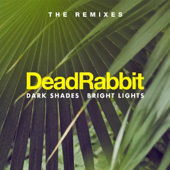 Dark Shades / Bright Lights - The Remixes by Dead Rabbit