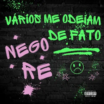 Vários me odeiam de fato by Nego Re