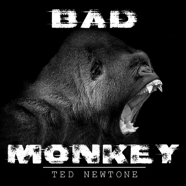 Bad Monkey