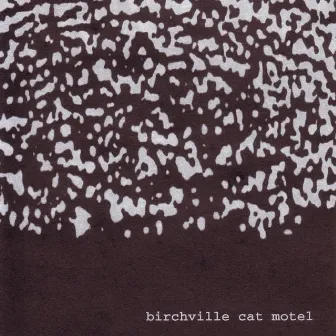 Siberian Earth Curve by Birchville Cat Motel