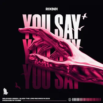 You Say by Rixbøi