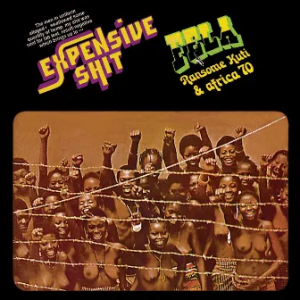 Expensive Shit by Fela Kuti