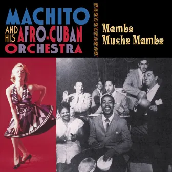 Mambo Mucho Mambo by 