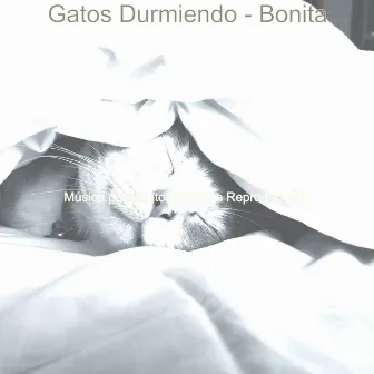 Gatos Durmiendo - Bonita by Música para Gatos Lista De Reproducción