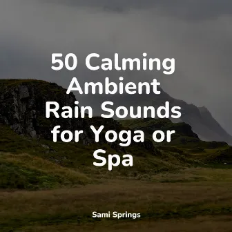 50 Calming Ambient Rain Sounds for Yoga or Spa by Lluvia