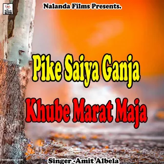 Pike Saiya Ganja Khube Marat Maja by Amit Albela