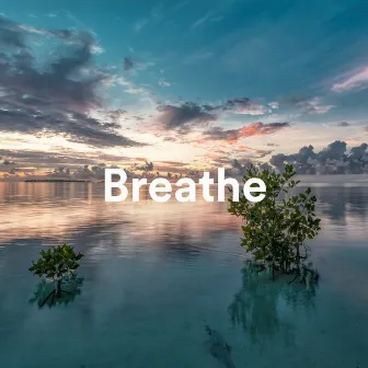 Breathe by Musica Relajante New Age Culture