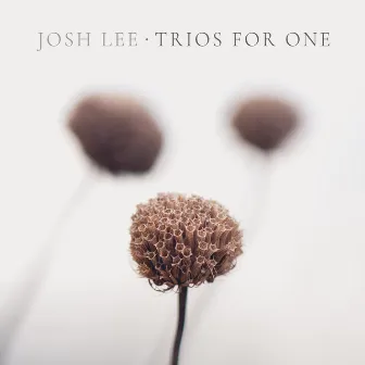 Trios for One by Josh Lee