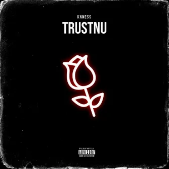 Trustnu by Knness