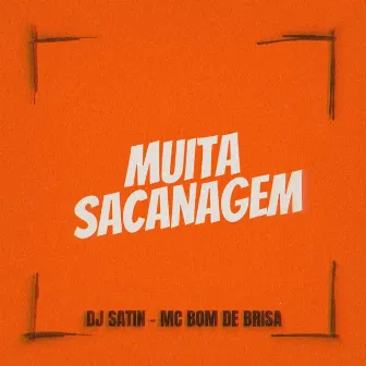 Muita Sacanagem by Mc Bom De Brisa