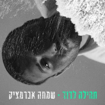 תהילה לדוד by Simcha Abramczik