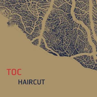 Haircut by Toc