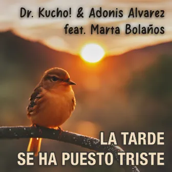 La Tarde Se Ha Puesto Triste by DR. KUCHO!