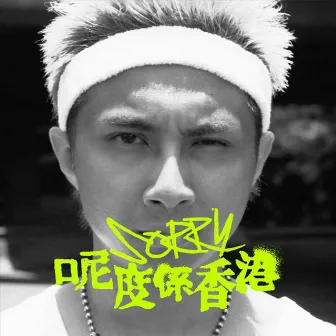 Sorry呢度係香港 (REMIX) by Billy Choi