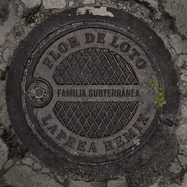 Flor de Loto - Remix