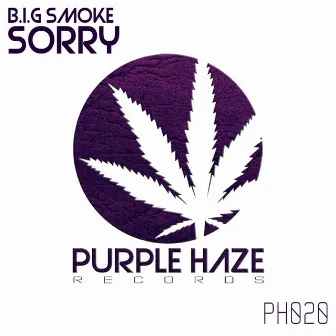 Sorry by B.I.G Smoke