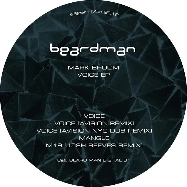 Voice - Avision Remix