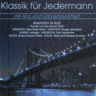 Klassik für Jedermann: Klassik aus der Neuen Welt by Geoffrey Simon