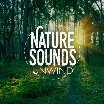 Nature Sounds: Unwind by Unknown Artist