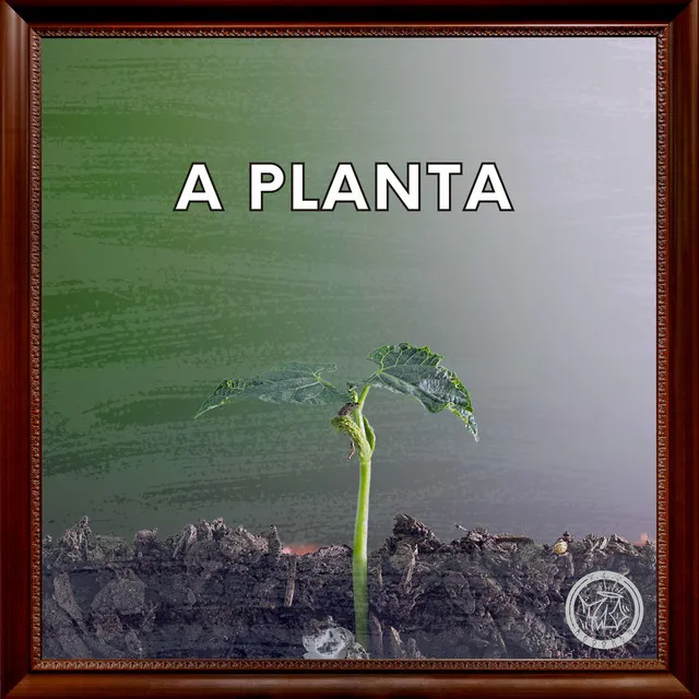 A Planta