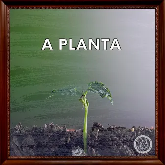 A Planta by B'z