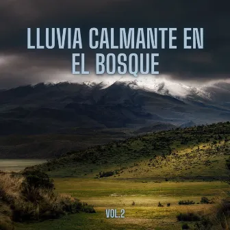 Lluvia Calmante En El Bosque, Vol. 2 by Relajación instantánea