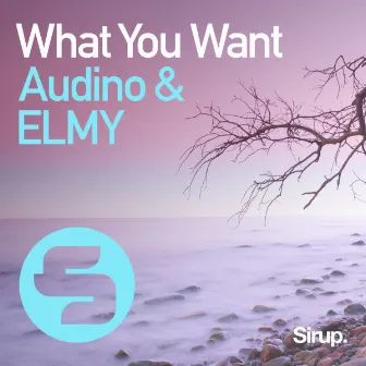 What You Want by ELMY