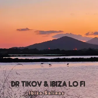 Ibiza Salinas by Ibiza Lo Fi