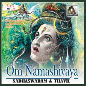 Om Namashivaya by T.V.Dhakshnamoorthy