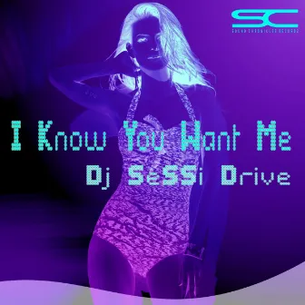 I Know You Want Me by Dj SeSSi Drive