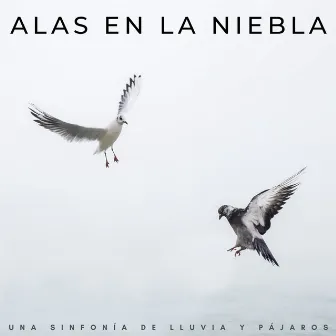 Alas En La Niebla: Una Sinfonía De Lluvia Y Pájaros by 