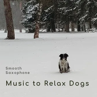 Smooth Saxophone by Music-to-Relax-Dogs