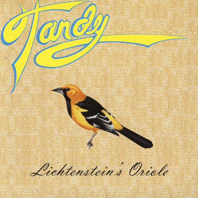 Lichtenstein's Oriole