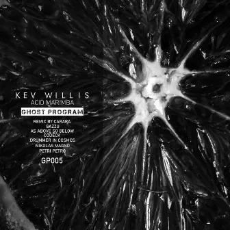 Acid Marimba EP by Kev Willis