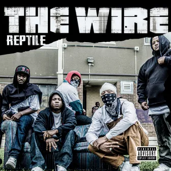 The Wire by Reptile