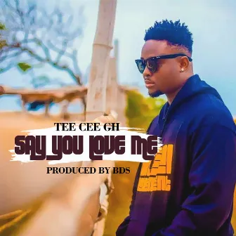 Say You Love Me by Tee Cee Gh