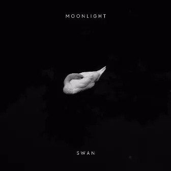 Swan (Techno) by Moonlight