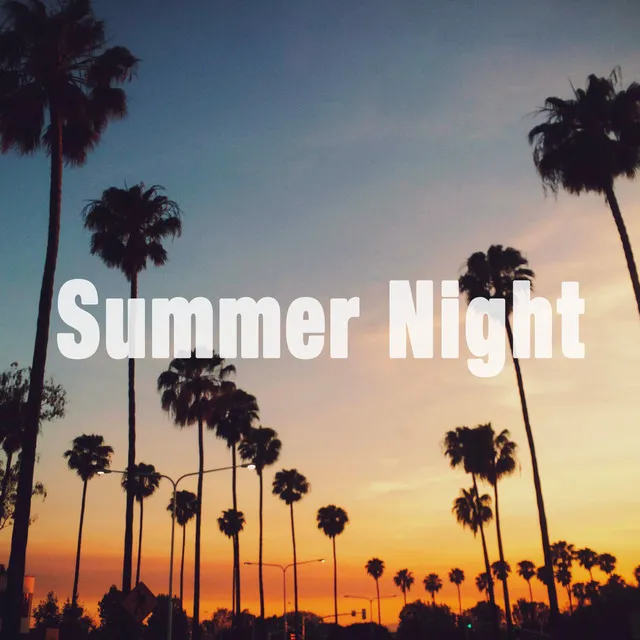 Summer Nigth