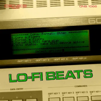 Lo-Fi Beats by David Nerattini