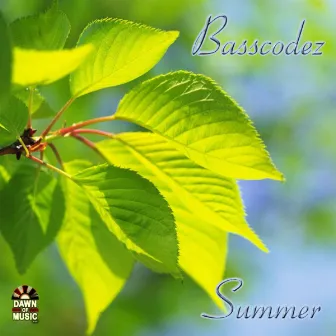 Summer by Basscodez