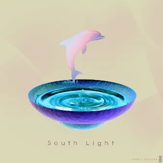 Like Dolphin by South Light